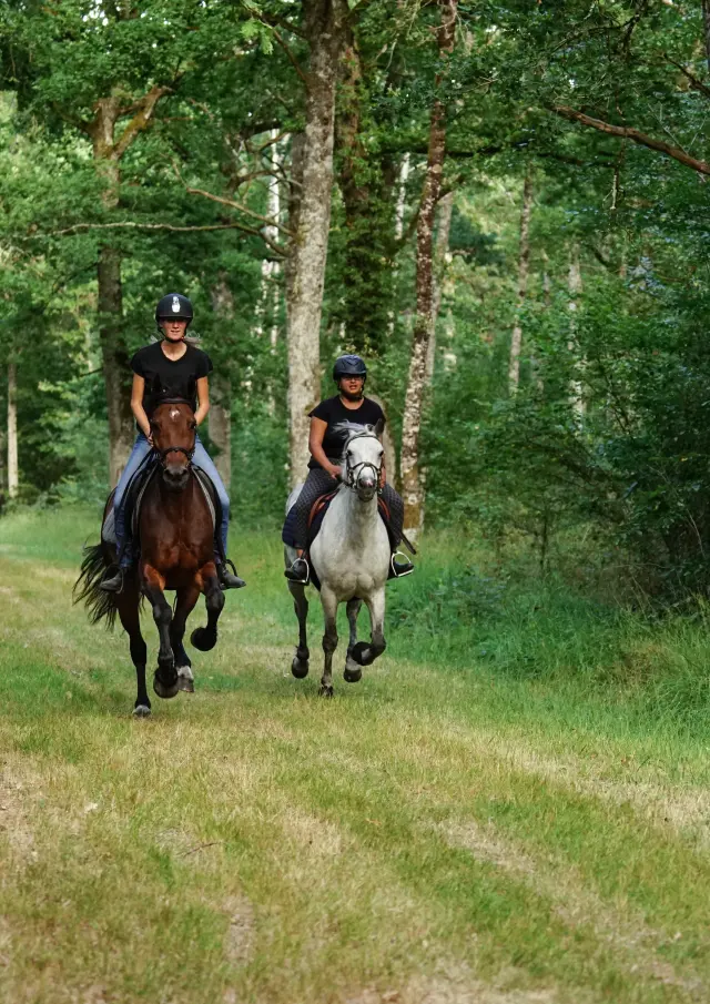 Balade à cheval dans le Grand Autunois Morvan