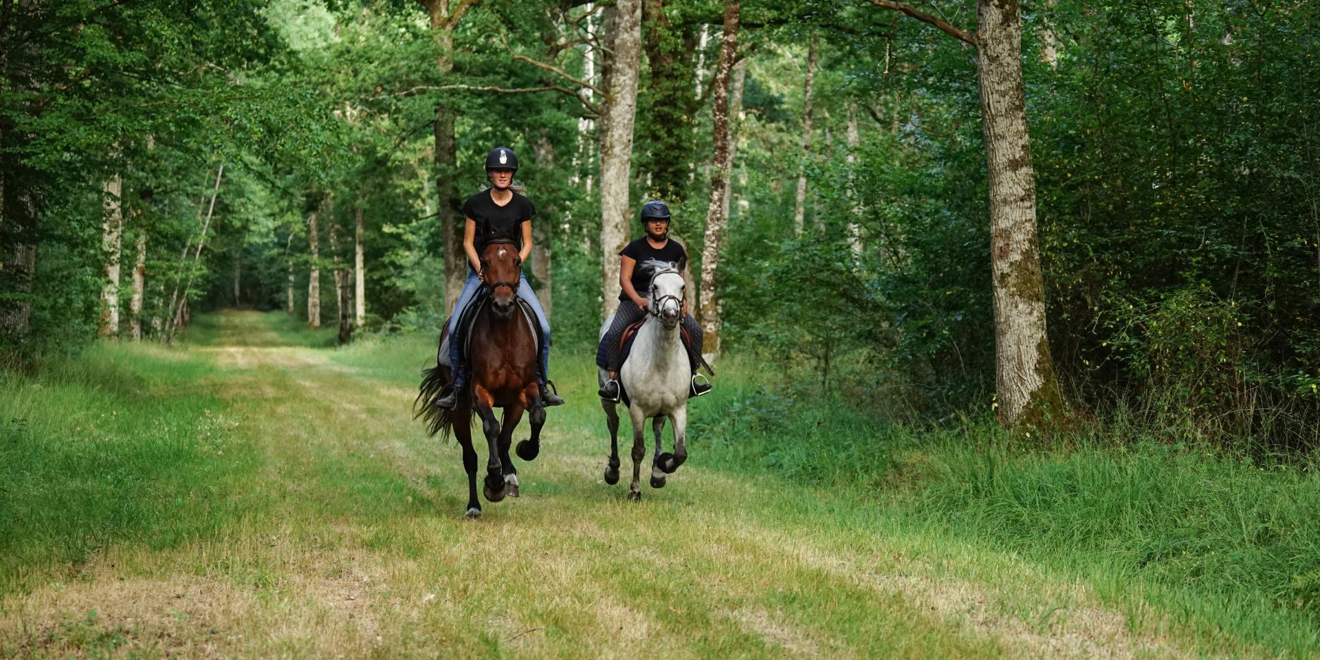Balade à cheval dans le Grand Autunois Morvan