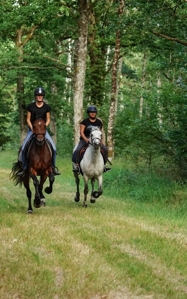 Balade à cheval dans le Grand Autunois Morvan