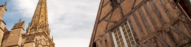 Cathedral and Palm House