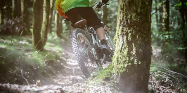 Mountainbike Abfahrt