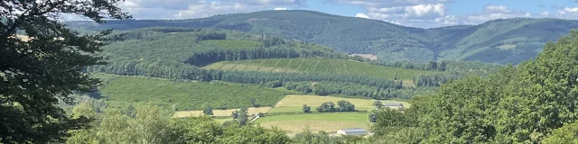 Der Mont Beuvray, ein Muss