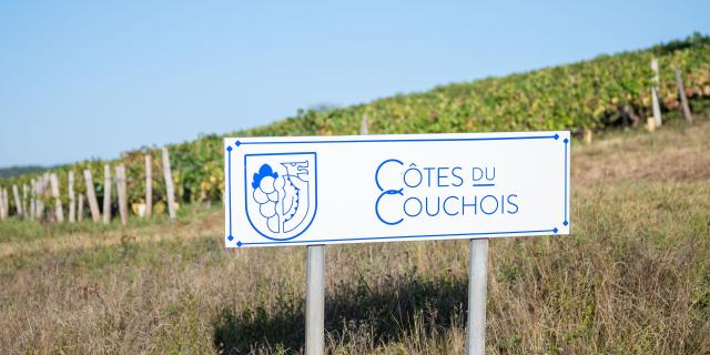 Cotes du Couchois, Route des vins
