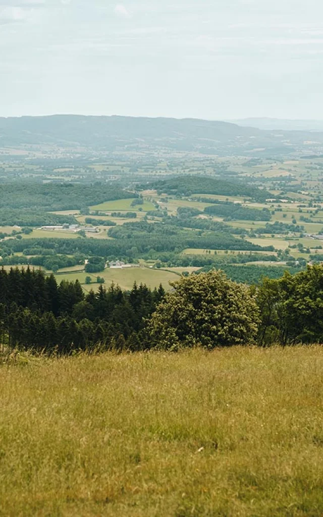 sport of cultuur, beide zijn beter
