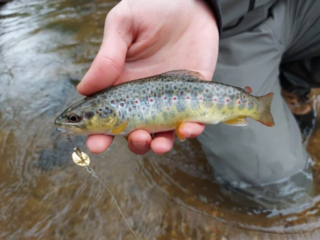 Ontvangen 678910226495472