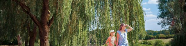 getting there and getting around