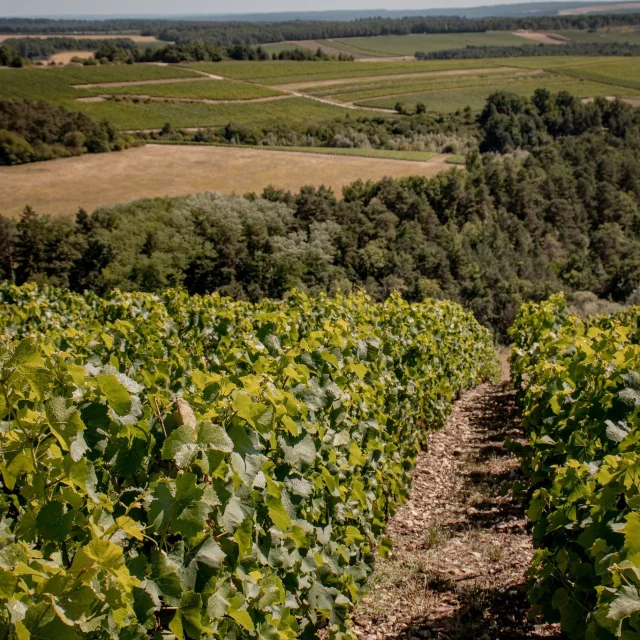 Instagram #instantpartage