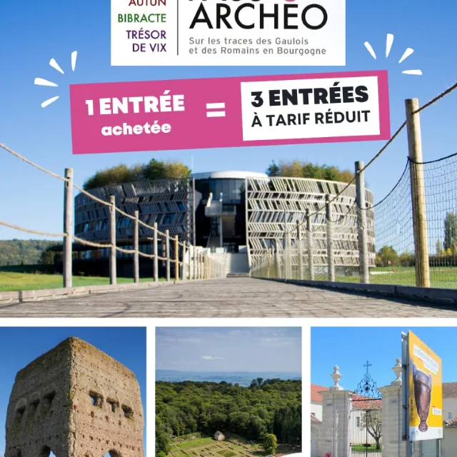 Pass Archéo 1entrée achetée = 3 entrées à prix réduit