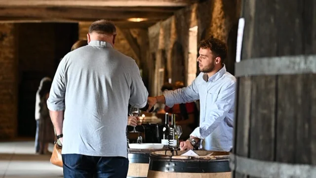 wine tasting of Burgundy Côtes du Couchois appellation wines