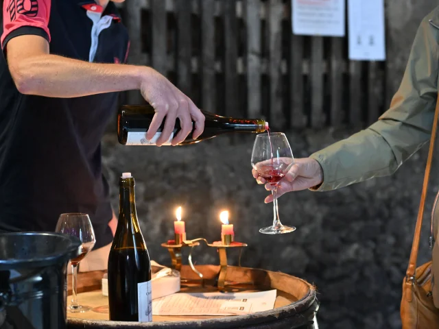 Burgundy Côtes du Couchois appellation - Vineyards in the spotlight