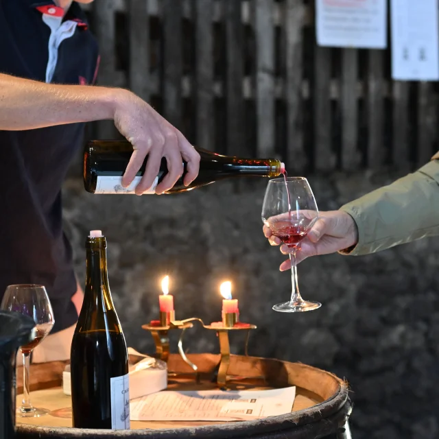 Burgundy Côtes du Couchois appellation - Vineyards in the spotlight