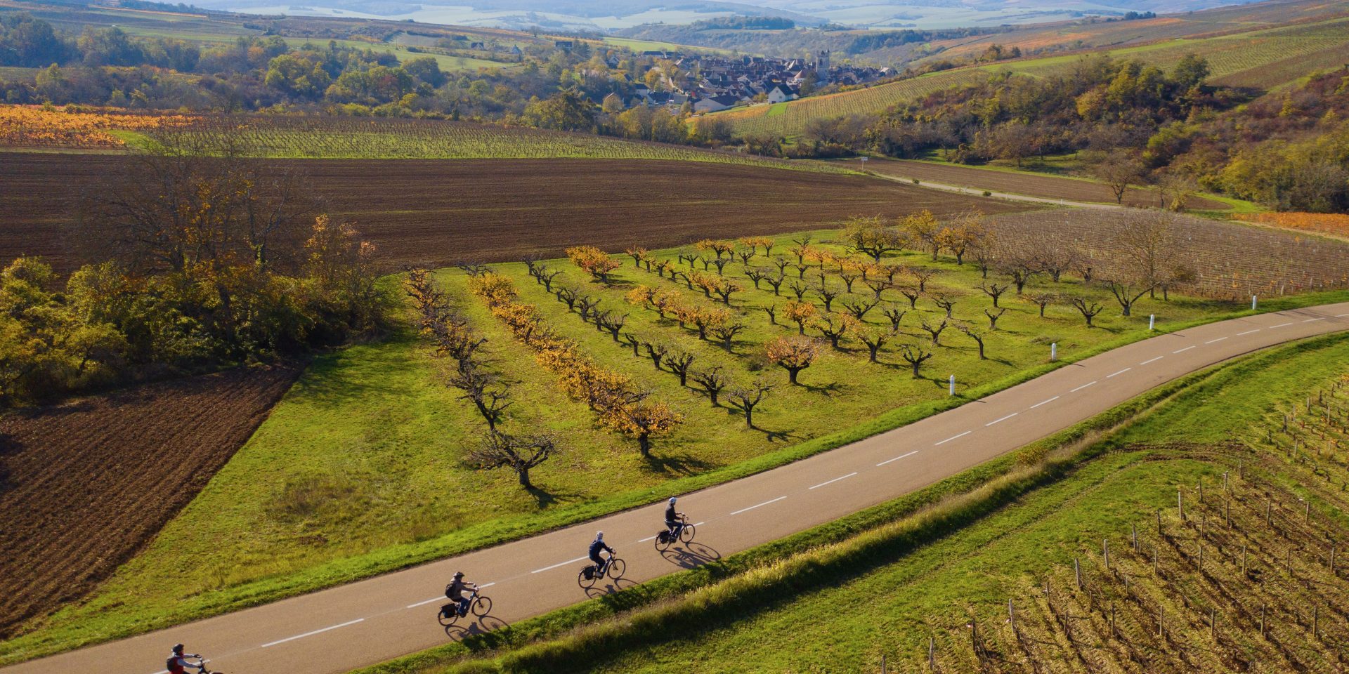 à Vélo à traver les vignobles de Bourgogne