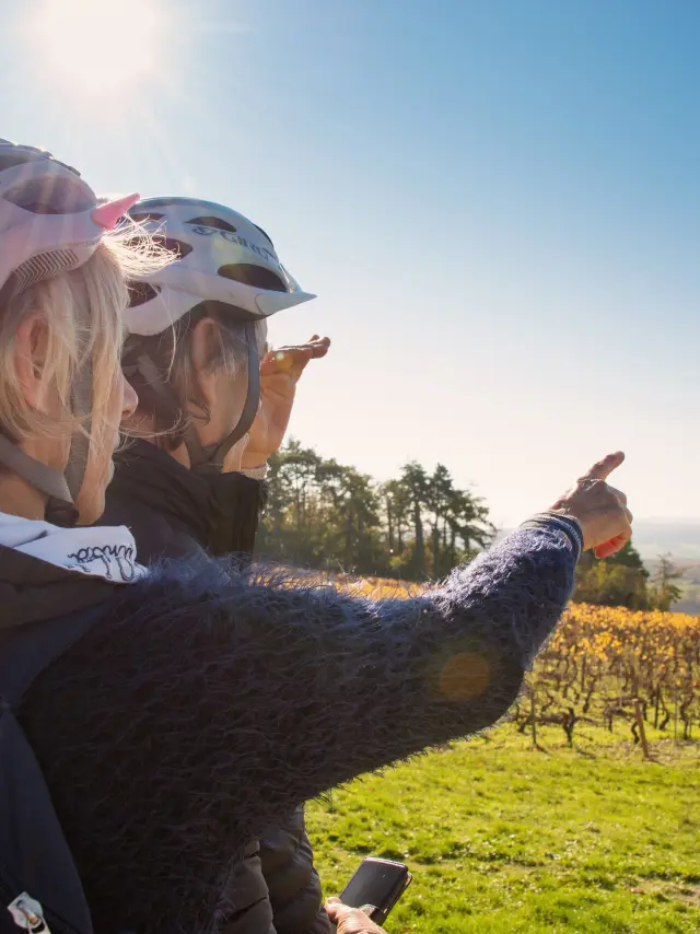 In Velo Veritas, 39 km à vélo à travers les vignobles de Bourgogne