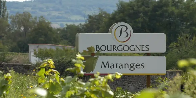 Vignobles des Maranges, vins de Bourgogne