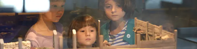 Musée Bibracte, incontournable